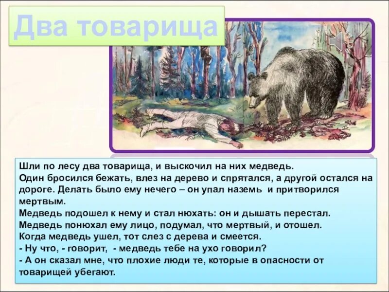 Встретились два товарища. Шли по лесу два товарища и выскочил на них. ЩДИ по лесу два товарища. Шли по лесу два товарища и выскочил на них медведь. Шли по лесу 2 товарища.