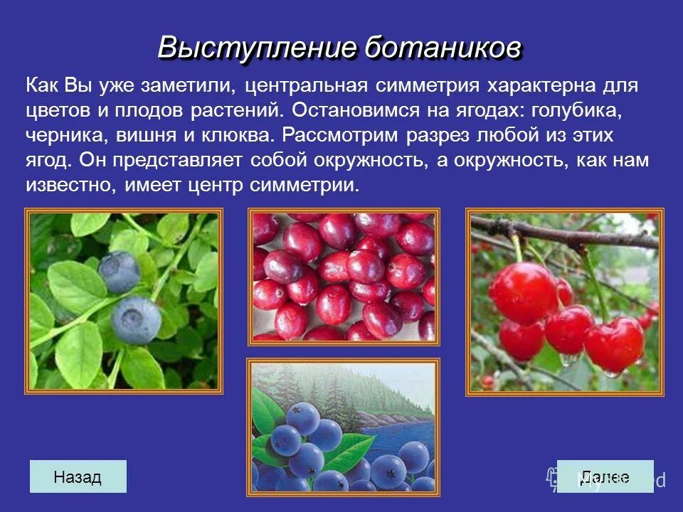 Какой тип питания характерен для голубики. Плоды растений симметрия. Центральная симметрия у плодов и растений. Центральная симметрия характерна для цветов и плодов растений.. Центральная симметрия в ягодах.