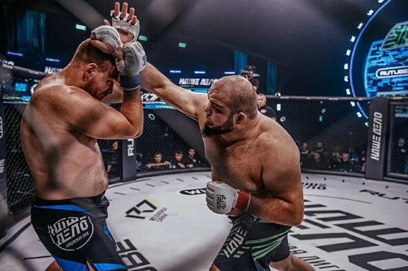 Биболт халидов. Мурад халидов боец. Халидов мурад халидшахович. Чеченские бойцы мма. Мурад халидов боец.