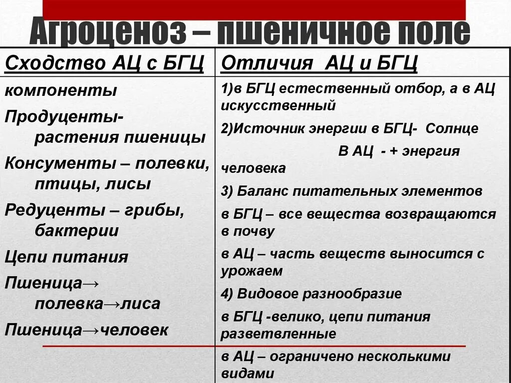 Сходства и различия экосистем и агроэкосистем. Характеристика агроценоза пшеничного поля. Сравнение естественных и искусственных экосистем. Агроэкосистемы и экосистемы сходства и различия. Сравнение экосистемы Луга и поля.