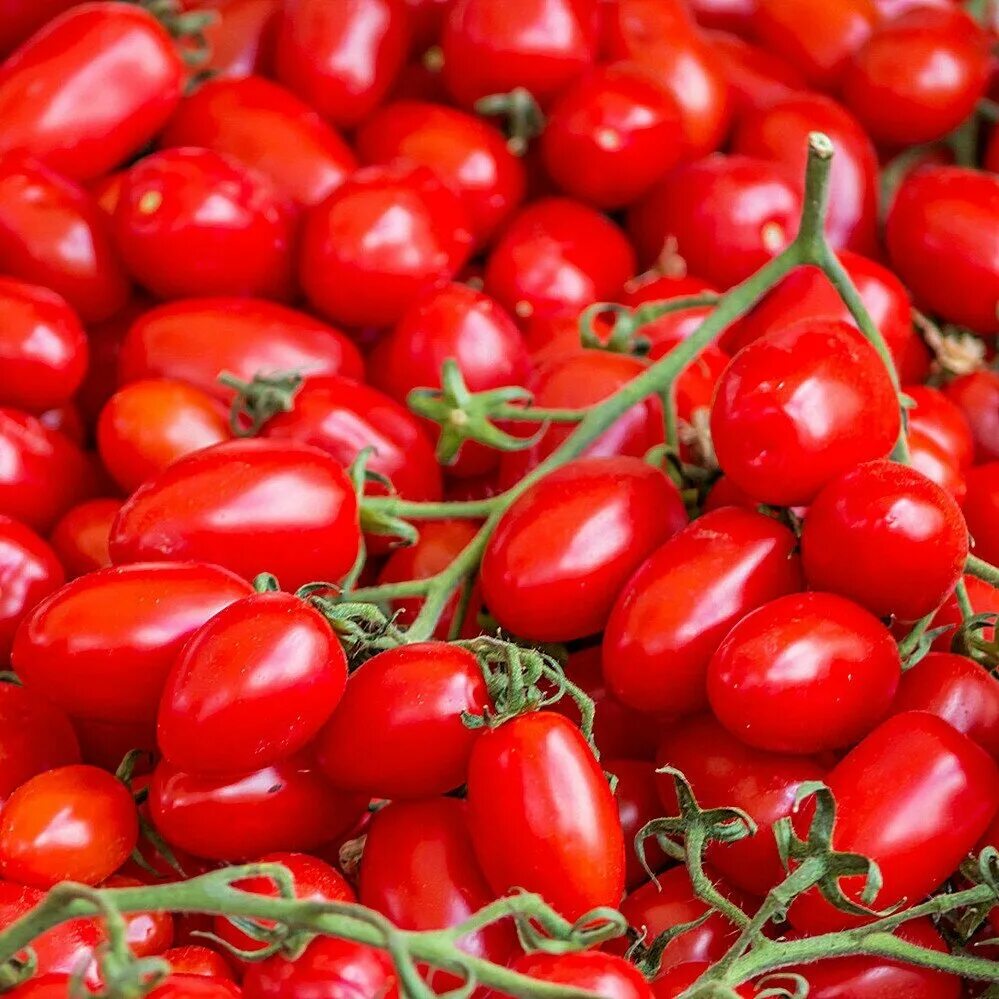 томат томато. помидоры черри. томат детерминантный черри. самые вкусные помидоры черри. томат черри лулу.