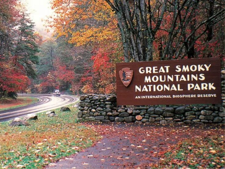Смоки маунтинс теннесси. The great smoky. Грейт смоки маунтинс. Парка грейт смоки маунтинс. Грейт смоки маунтинс национальный парк сша.