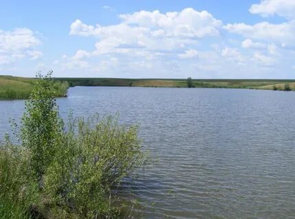 Линево жирновского