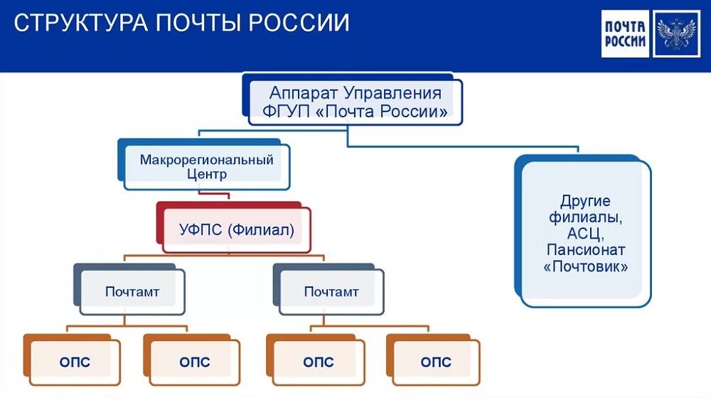 Организационная структура почты России схема. Организационная структура АО почта России. Организационная структура почтового отделения схема. Почта России организационная структура управления.