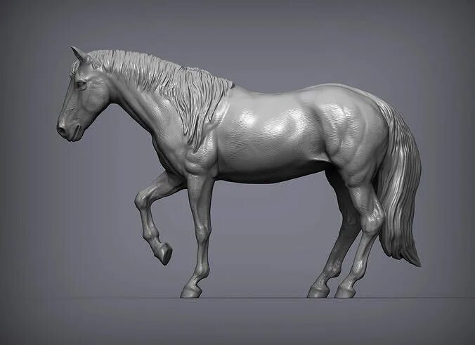 Лошадь zbrush. Лошадь 3д. Лошадь 3д. Лошадь 3д модель. Horses 3 d.