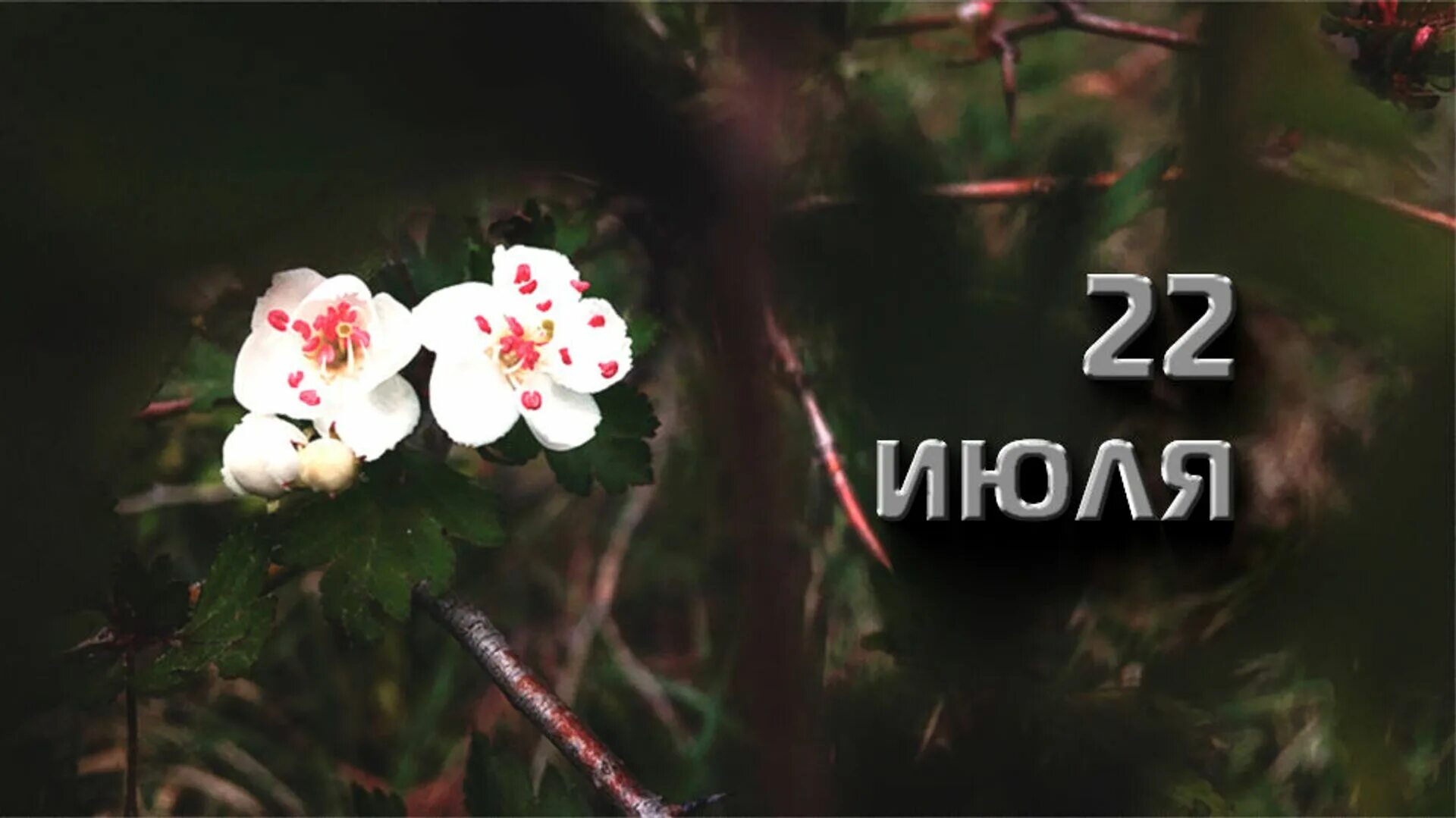 07 22 дата. 22 июля праздник. 22 iyul. 22 июля дата. календарь июль 22.