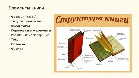 Рассказ жизнь книжных переплетов