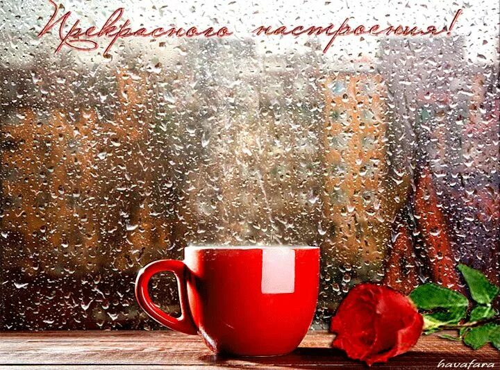Картинка: Хоть и дождик за окном, но утро доброе сменится хорошим деньком! Карти