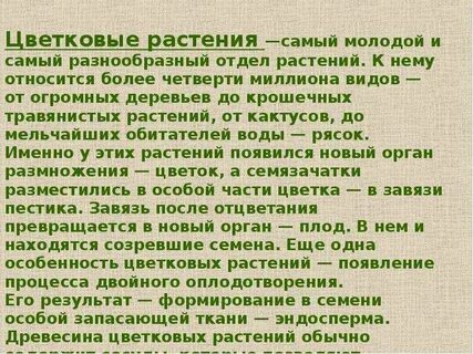 Доклад о классе