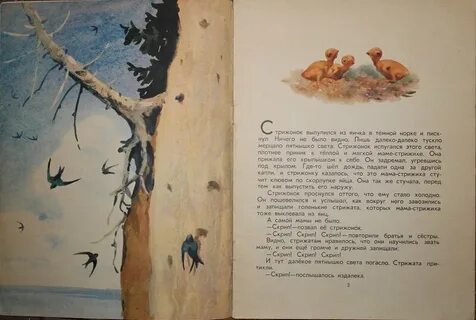 Эпитеты стрижонок скрип