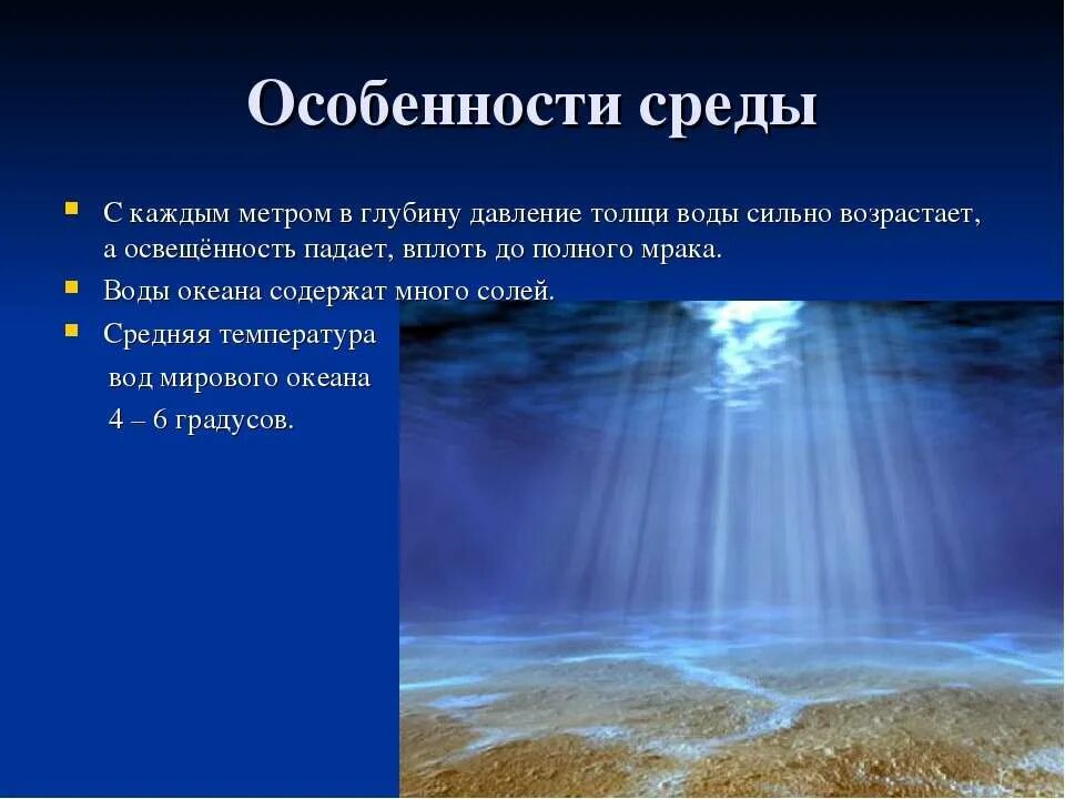 Какая температура в водной среде обитания. Свет в водной среде. Свет в водной среде обитания. Освещенность воды. Особенности воды.