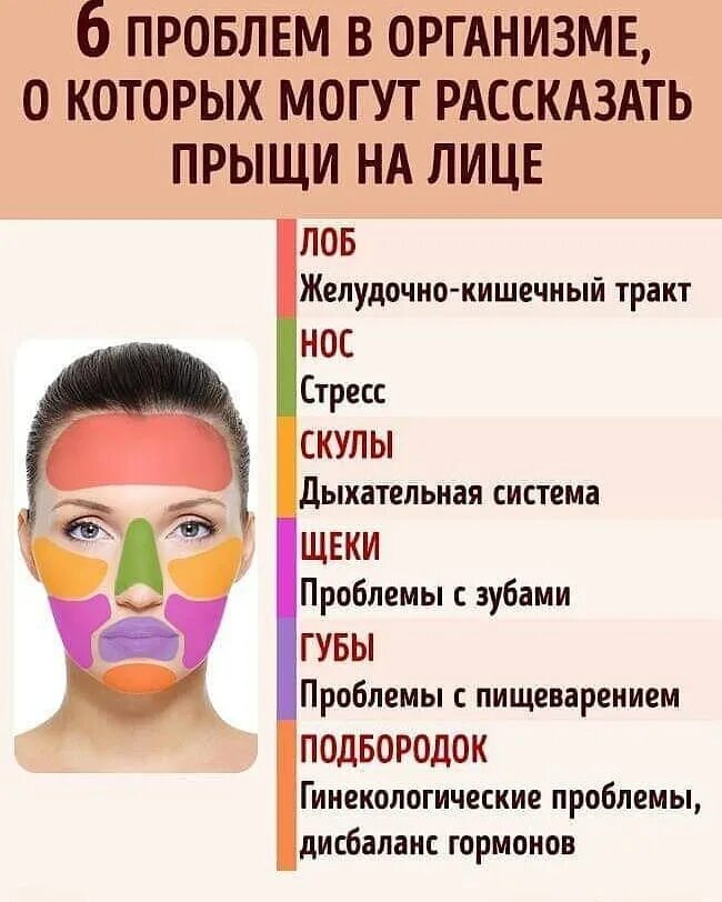 Значение прыщей. Прыщи на лице причины. зоны появления прыщей на лице. карта лица высыпания на лице. прыщи на лице по зонам причины.