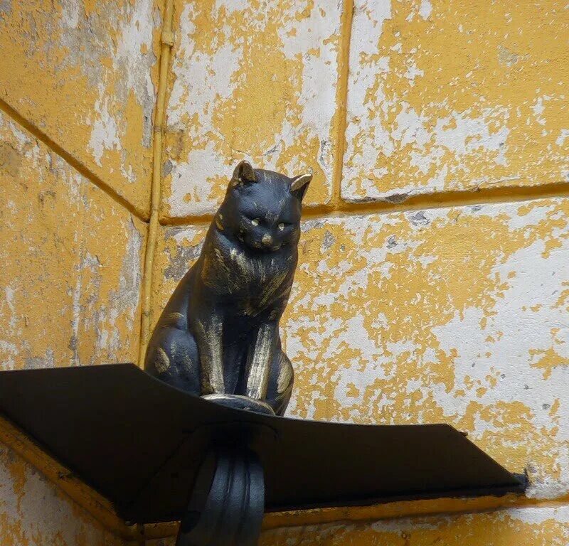 Hermitage cats ответы