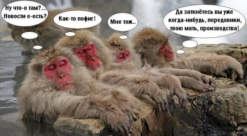 Праздник после работы. Шутки про работу после праздников. на работу после праздников приколы. веселые картинки после праздников. послепрпздников на работу приколы.