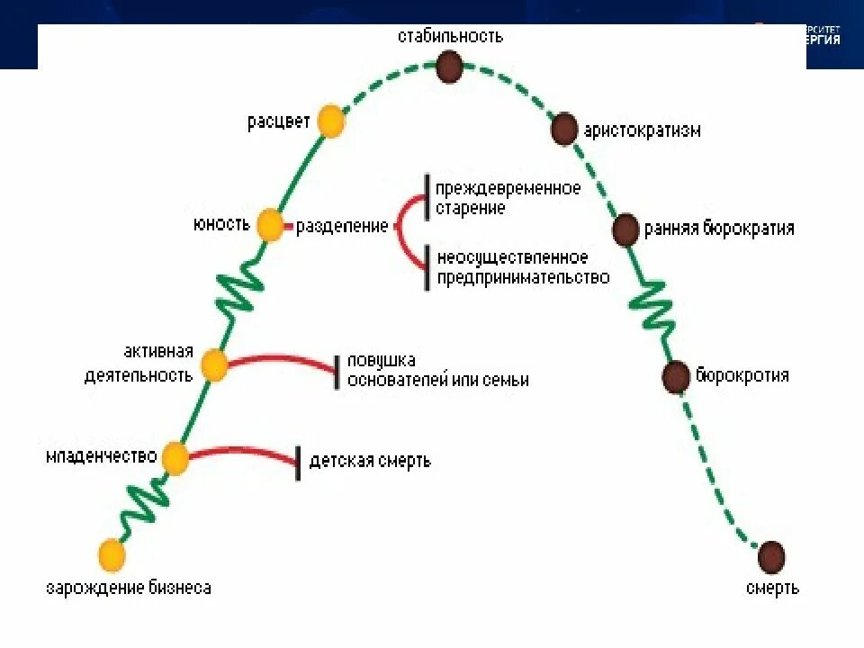 Цикл организации грейнера. Жизненный цикл Грейнера и Адизеса. Модель жизненного цикла организации Исцхак. Модель жизненного цикла Адизеса презентация. Адизес и Грейнер жизненный цикл.