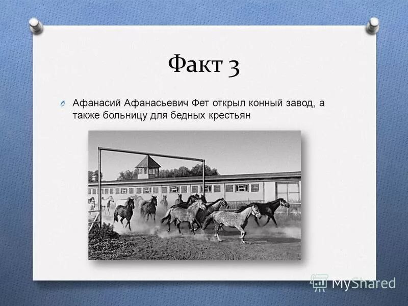 афанасий афанасьевич фет. 3 интересных факта о фете. афанасьева фет. 3 факта афанасий афанасьевич фет. 5 интересных фактов о фете.