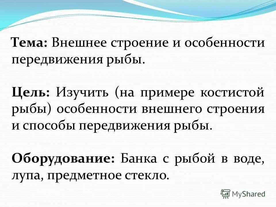Цель передвижение рыб. Внешнее строение аквариумных рыбок. Лабораторная работа изучение внешнего строения рыбы. Лабораторная работа биология 7 строение рыб. Особенности внешнего строения и способы передвижения рыбы.