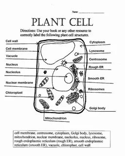 Cell name