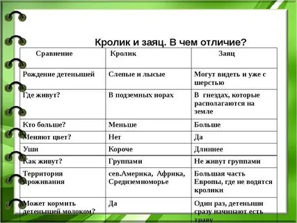 Сравните две цепи