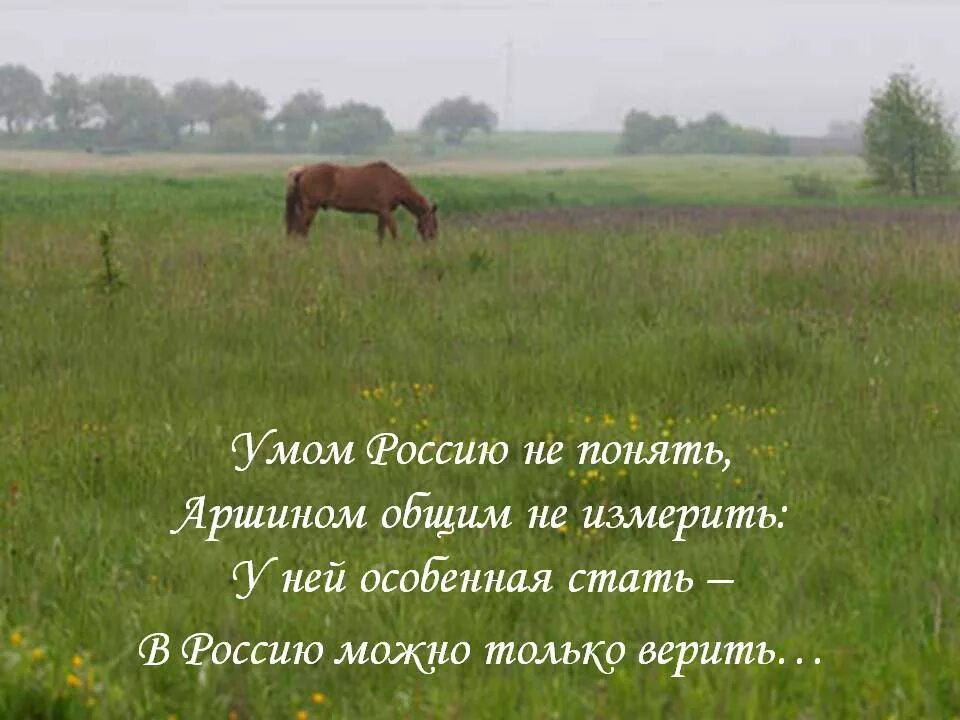 Тютчев в россию только верить. Умом Россию не понять аршином общим не измерить. Умом Россию не понять. Тютчев умом Россию. Умом Россию не понять стих.