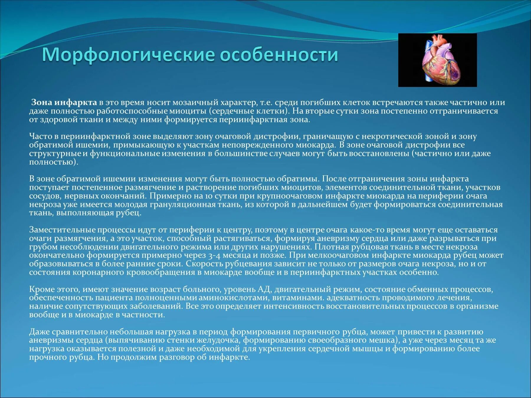 Морфологические изменения организма это. Инфаркт миокарда морфологические изменения. Морфологические причины инфаркта миокарда. Морфологическая классификация инфаркта миокарда. Морфологическая характеристика инфаркта миокарда.