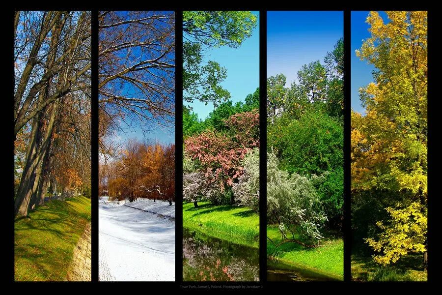 Ссылки на времена года. Зима,Весна,лето,осень. Лес в разные времена года. Поры года. Пейзажи всех времен года.