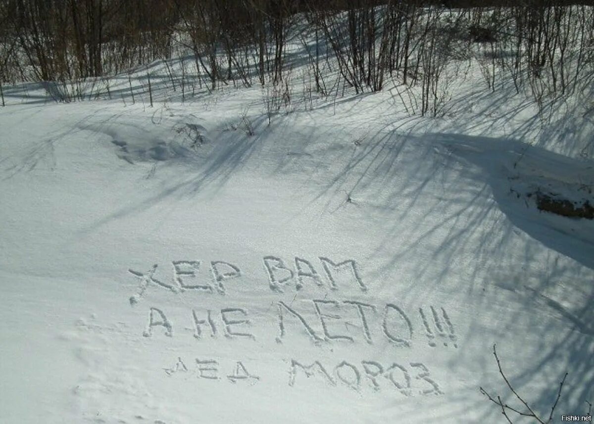 Прикольные картинки про зиму с надписями