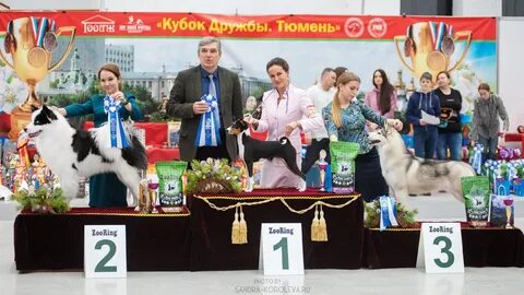 Выставка собак минск