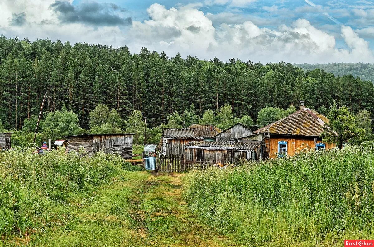 Жизнь в таежной глубинке. Посёлок Таёжный Тайга. Сибирские деревни в тайге. Заброшенные Сибирские деревни в тайге. Таежные поселки в Сибири.