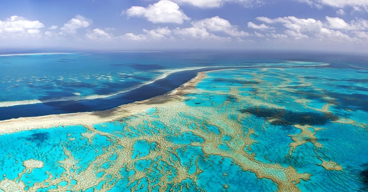 Полуостров мирового океана. Барьерный риф Белиз. Атолл Альдабра. Окаймляющие рифы. Самое большое море.