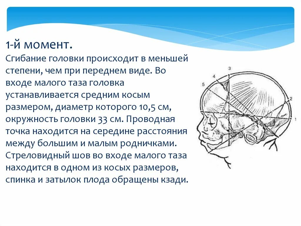 Положения головки плода. Малый косой размер головки плода. Размеры таза и головки плода. Косые Размеры головки плода. Вертикальный размер головки плода.