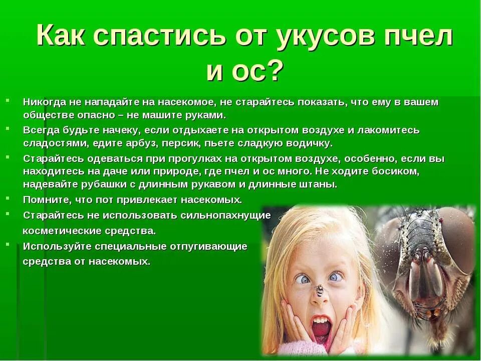 Защита от насекомых обж 6 класс. Укусы ядовитых насекомых. Клещи являются переносчиками тяжёлого заболевания?. Насекомые и защита от них. Как защититься от укусов насекомых.