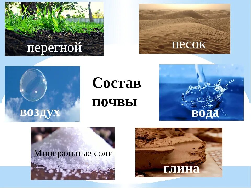 Сравни воздух и воду. Состав почвы. Состав почвы схема. Почва для дошкольников. Почва состав почвы.