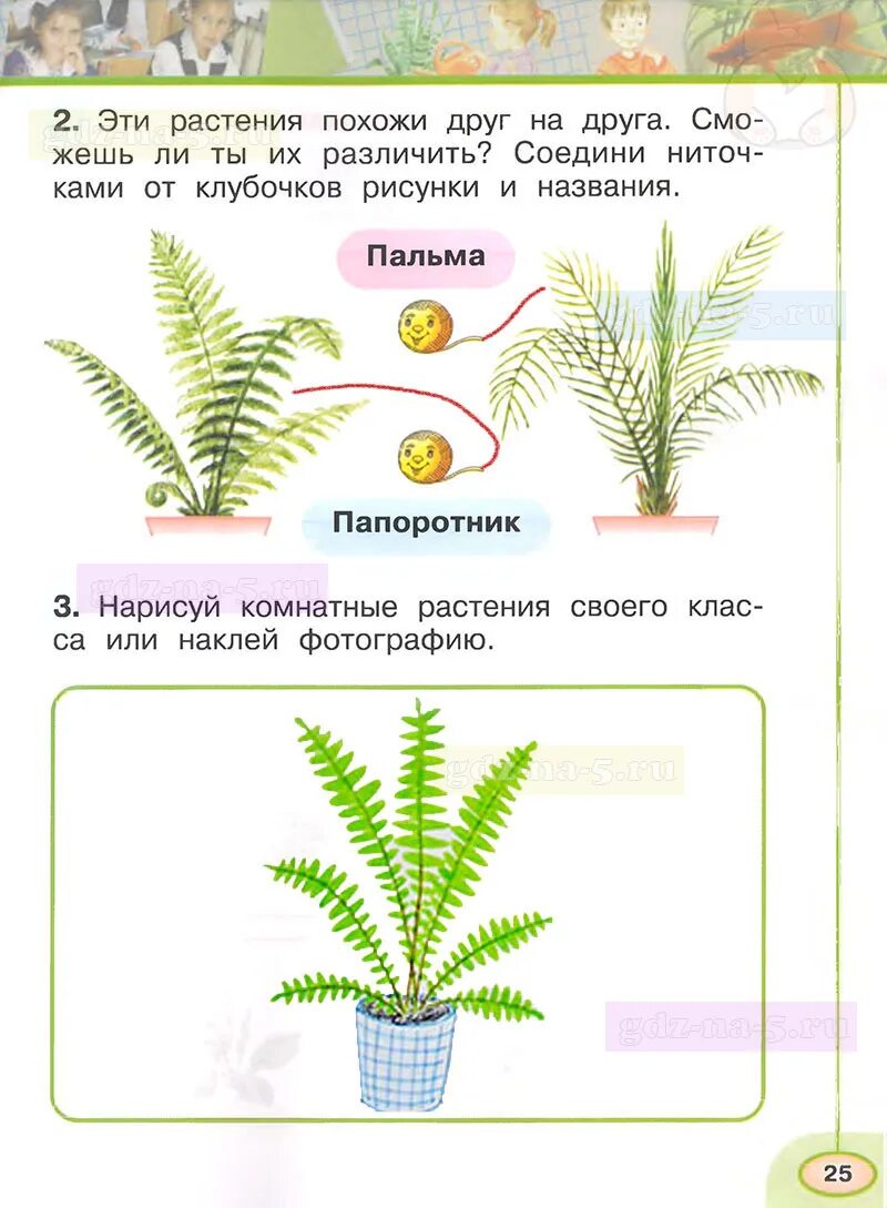 Окружающий 1 класс 1 часть рабочая тетрадь. Домашнее задание окружающий мир. Гдз рабочая тетрадь страница 25 1 часть Плешаков Новицкая. Ответы по окружающему миру 1 класс стр. Окружающий мир. Рабочая тетрадь. 1 Класс. Часть 1.