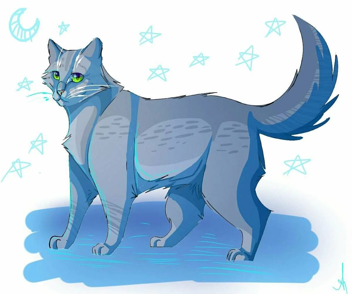 Коты Воители синяя звезда. Коты Воители тростинка. Синяя звезда коты Воители арт. Коты Воители Невидимая звезда. Синяя звезда из котов воителей