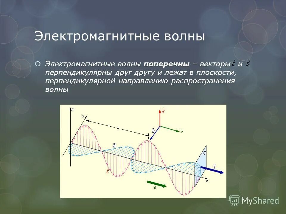 Доклад на тему электромагнитные волны. Источники электромагнитных волн. Поперечная электромагнитная волна. Вектор распространения электромагнитной волны.