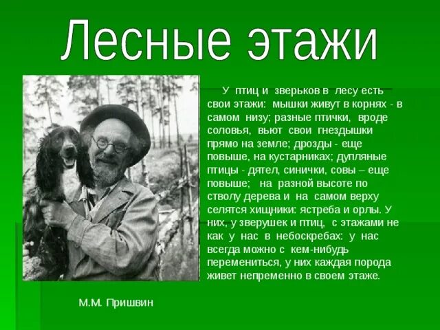 Пришвин друг человека. М пришвин этажи леса книга. Рассказ м Пришвина этажи леса. Произведению м.м. Пришвина этажи леса. Рассказ Михаила Пришвина этажи леса.