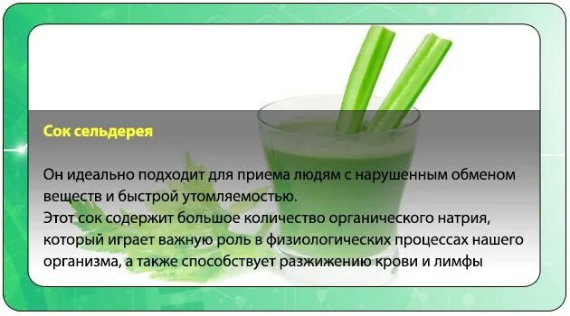 Книга сок сельдерея. Пить огуречный сок. Сок сельдерея польза или вред. Протокол сельдерей. Сок сельдерея нервная система.