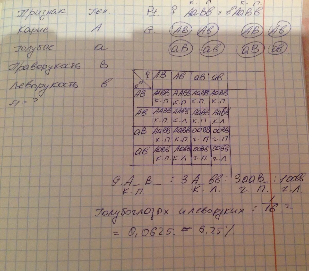 Ген человека. У человека карих глаз доминирует над геном голубых глаз. У человека ген карих глаз доминирует над геном голубых. У человека близорукость доминирует над нормальным зрением. Отец имеет короткие ресницы рецессивный аутосомный