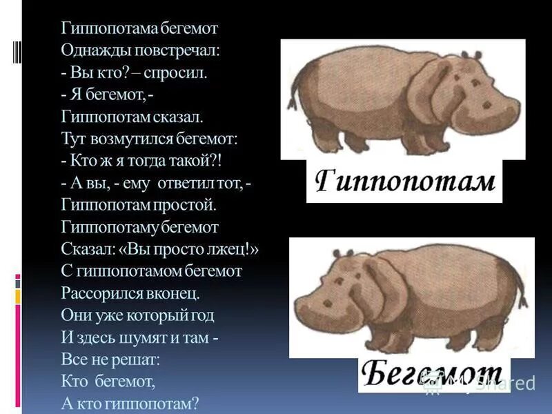 Бегемот. Гиппопотама Бегемот однажды. Обыкновенный Бегемот, или гиппопотам. Гиппопотам и Бегемот отличия. Бегемот какой звук