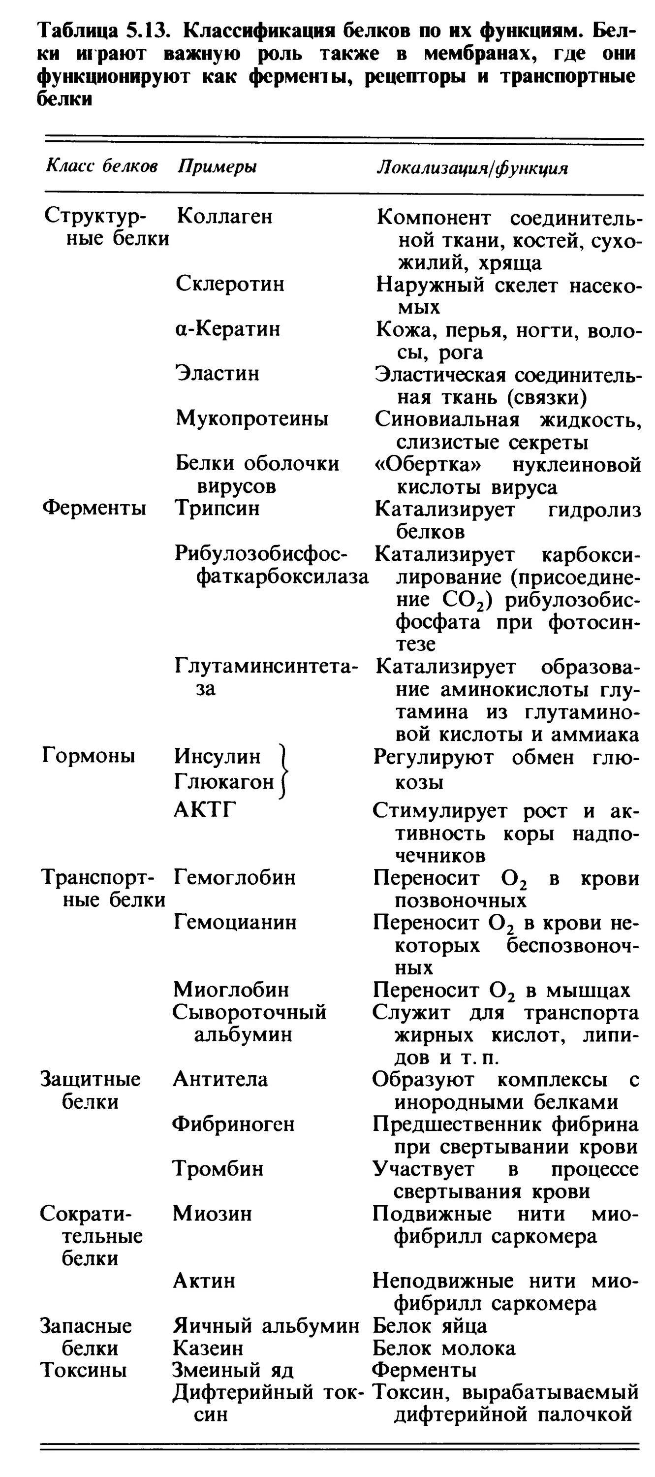 Функция белка химия. Классификация белков по функциям таблица. Белки функции белков таблица с примерами. Строение и функции белков таблица. Функции белков примеры белков таблица.