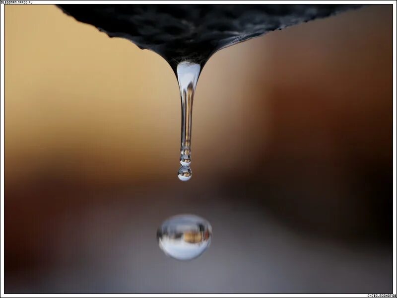 Капля воды. Капли капают. Капля капает. Текучие воды. В стене капает вода