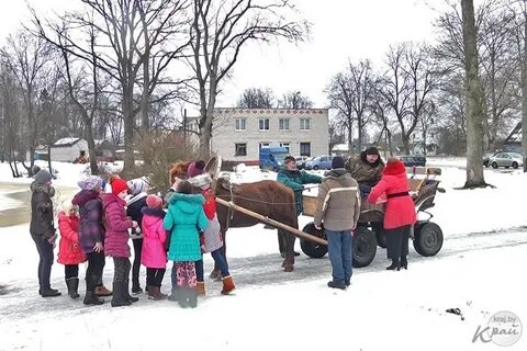 Салидарнасць
