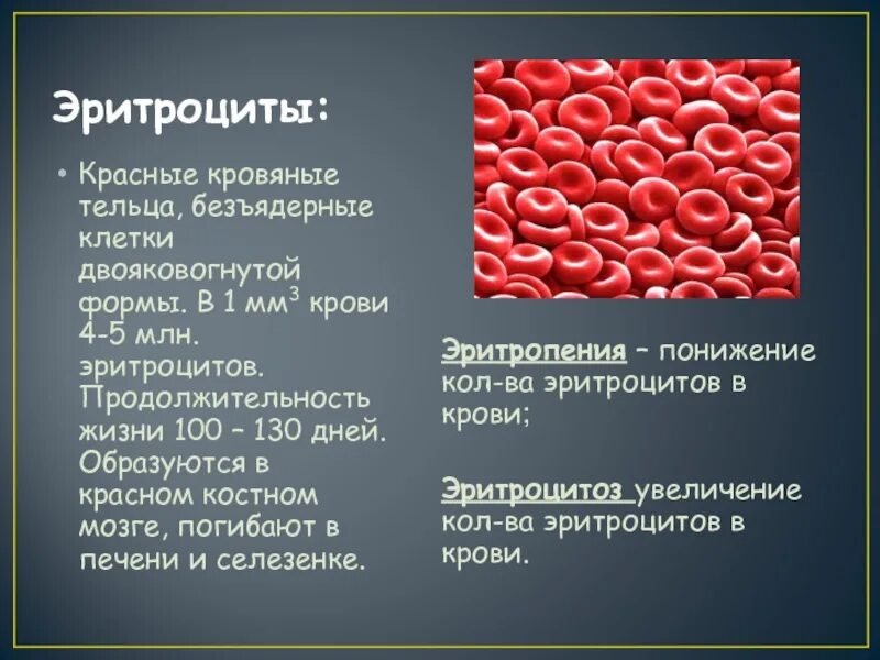 Выработка эритроцитов. Красные кровяные тельца. Красные кровяные тельца эритроциты. Эритроциты безъядерные клетки. Эритроциты цвет и форма клеток.