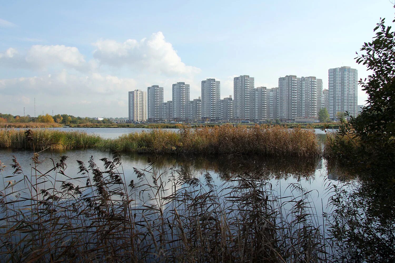 сквер имени димитрова во фрунзенском районе. купчино ленинградская область. бухарестская улица 64. купчино санкт-петербург. парк героев пожарных в санкт-петербурге.