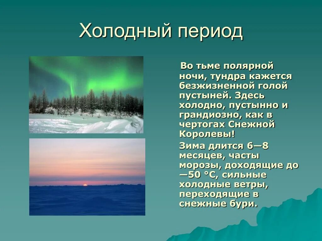 Климат тундры. Тундра география. Климат тундры в России. Продолжительность теплого и холодного периодов в тундре в России.