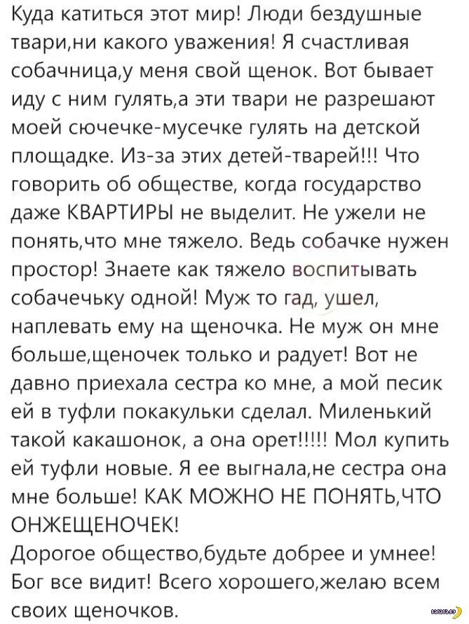 Обнять это замечательный. Давно надо было в амстердам переехать. Цитаты про бездушных тварей. Смешно про питер. Головоломка про туристов.