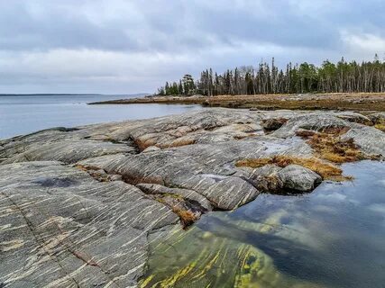 Какая вода в белом море