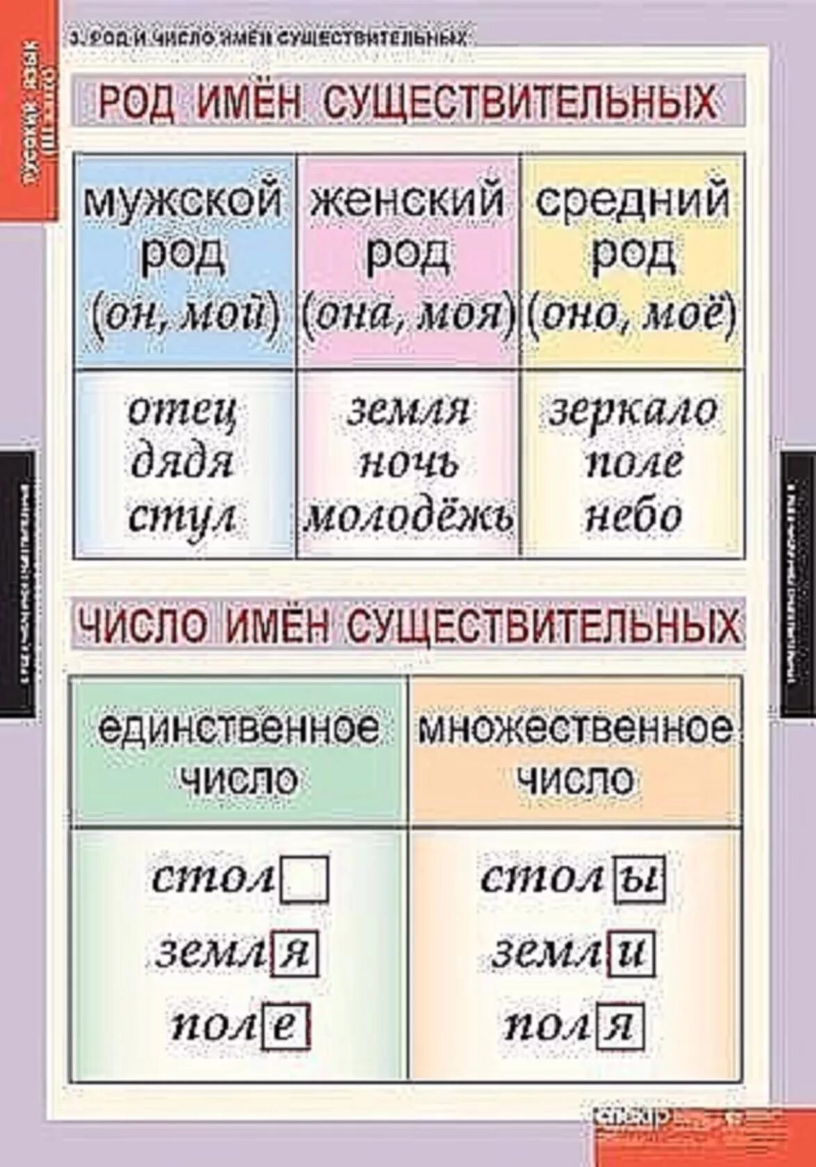 Род и число имен существительных. Род и число имен существительных таблица. Число имен существительных таблица. Род и число имен существительных 3 класс.