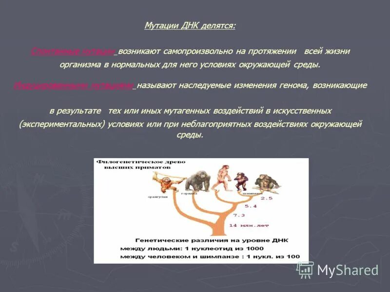 Мутациями называют изменения в. Закономерности изменчивости мутационная изменчивость 9 класс кратко. Мутациями называют изменения в. Генные геномные хромосомные мутации таблица. Геномные мутации изменение числа хромосом.